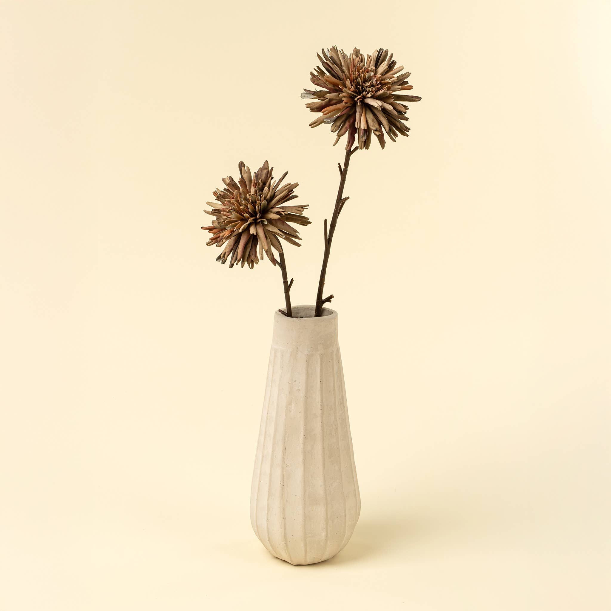 Russet Dahlia Stem