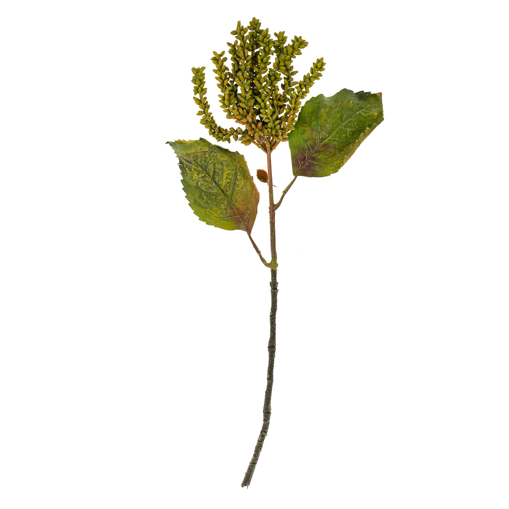 Cascading Green Seed Stem