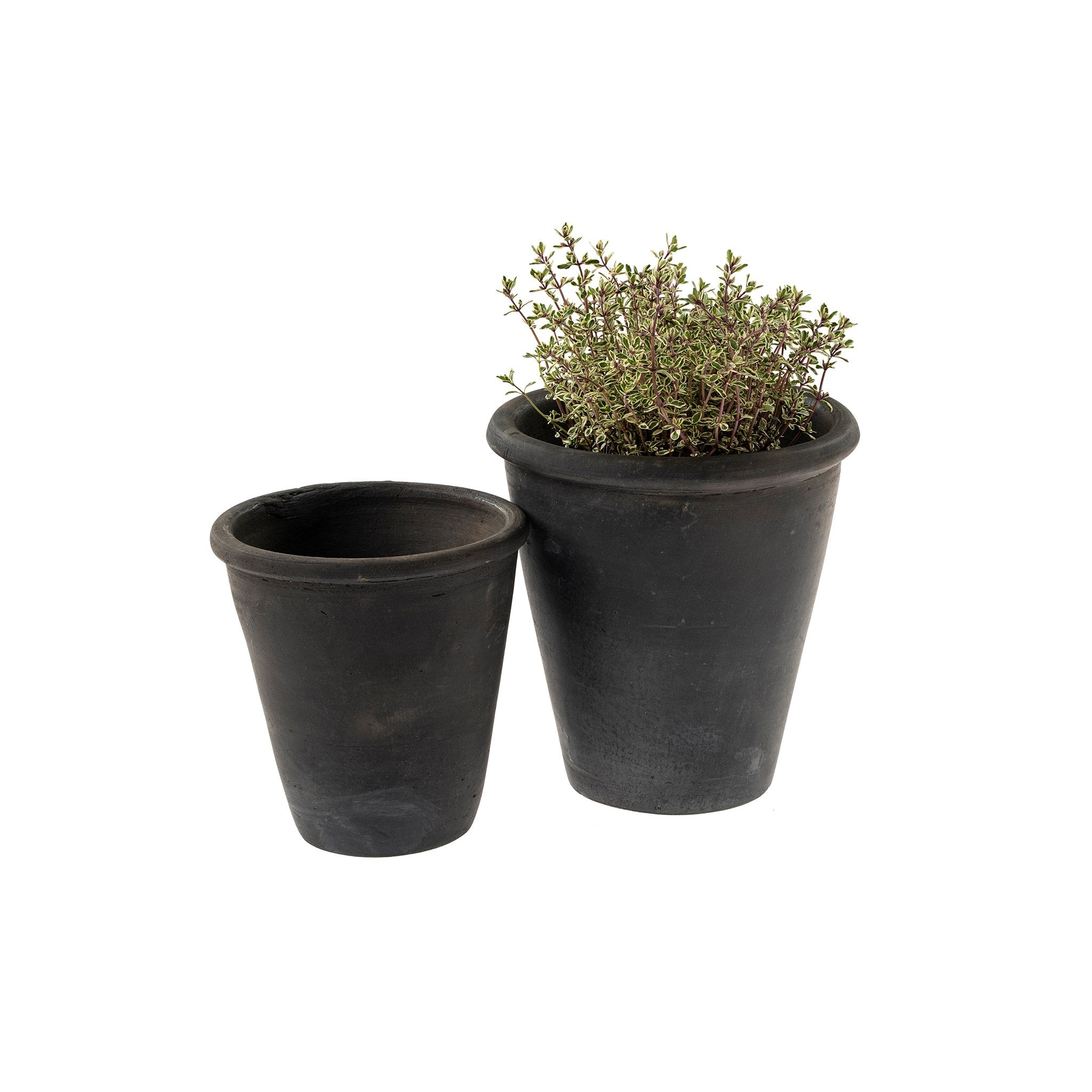 Rimmed Terracotta pot