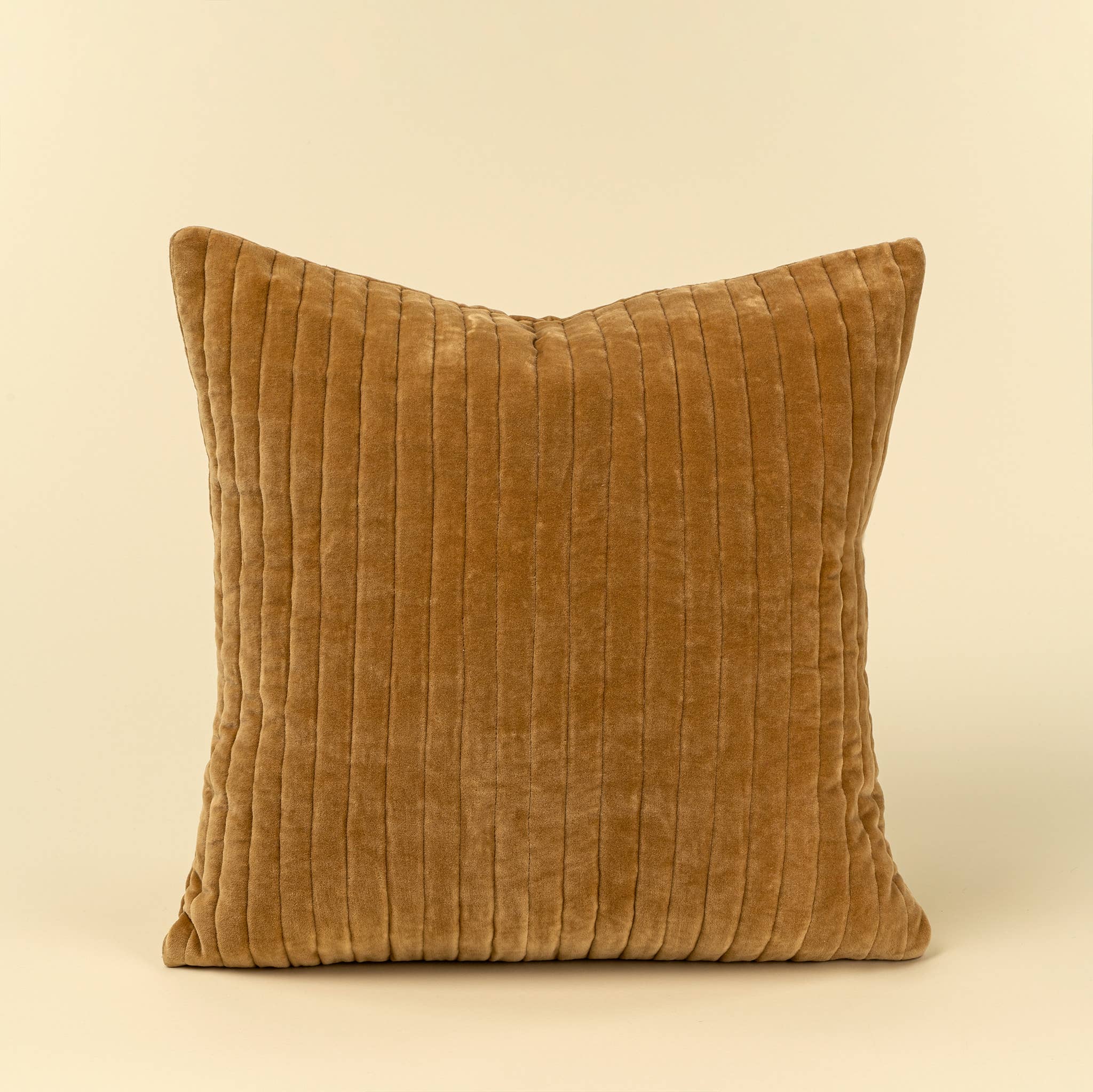 Lush Velvet Stripe Pillow