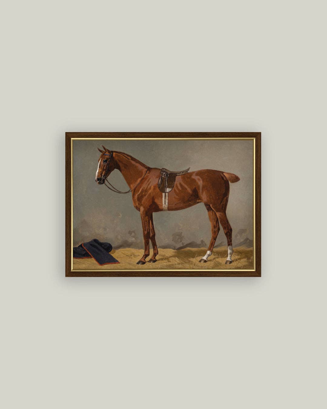 Saddled Brown Horse
