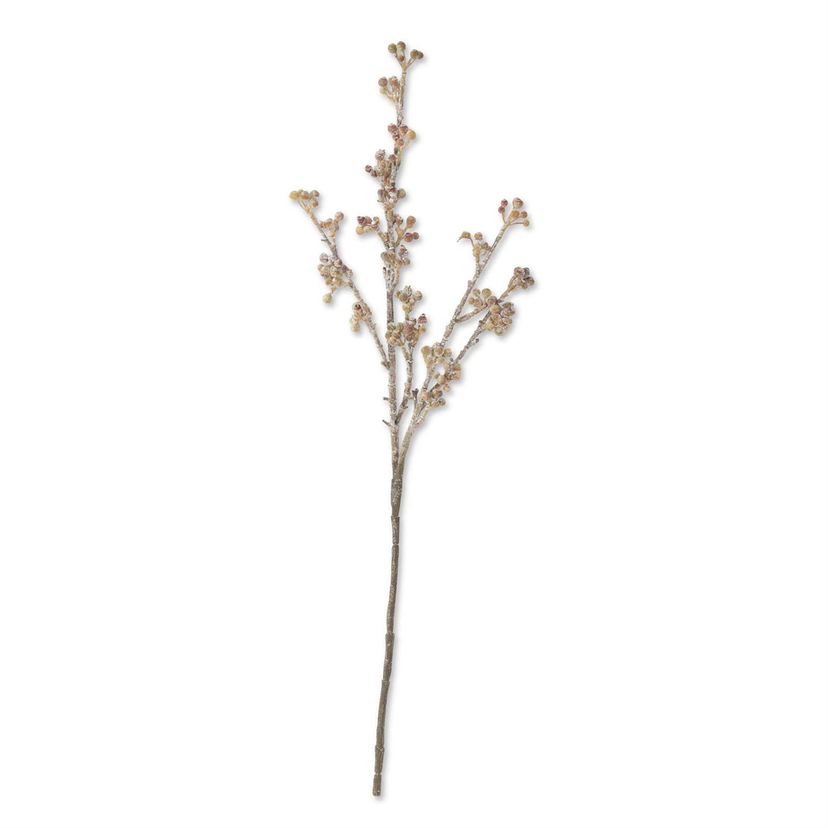 Powdered Light Brown Berry Stem