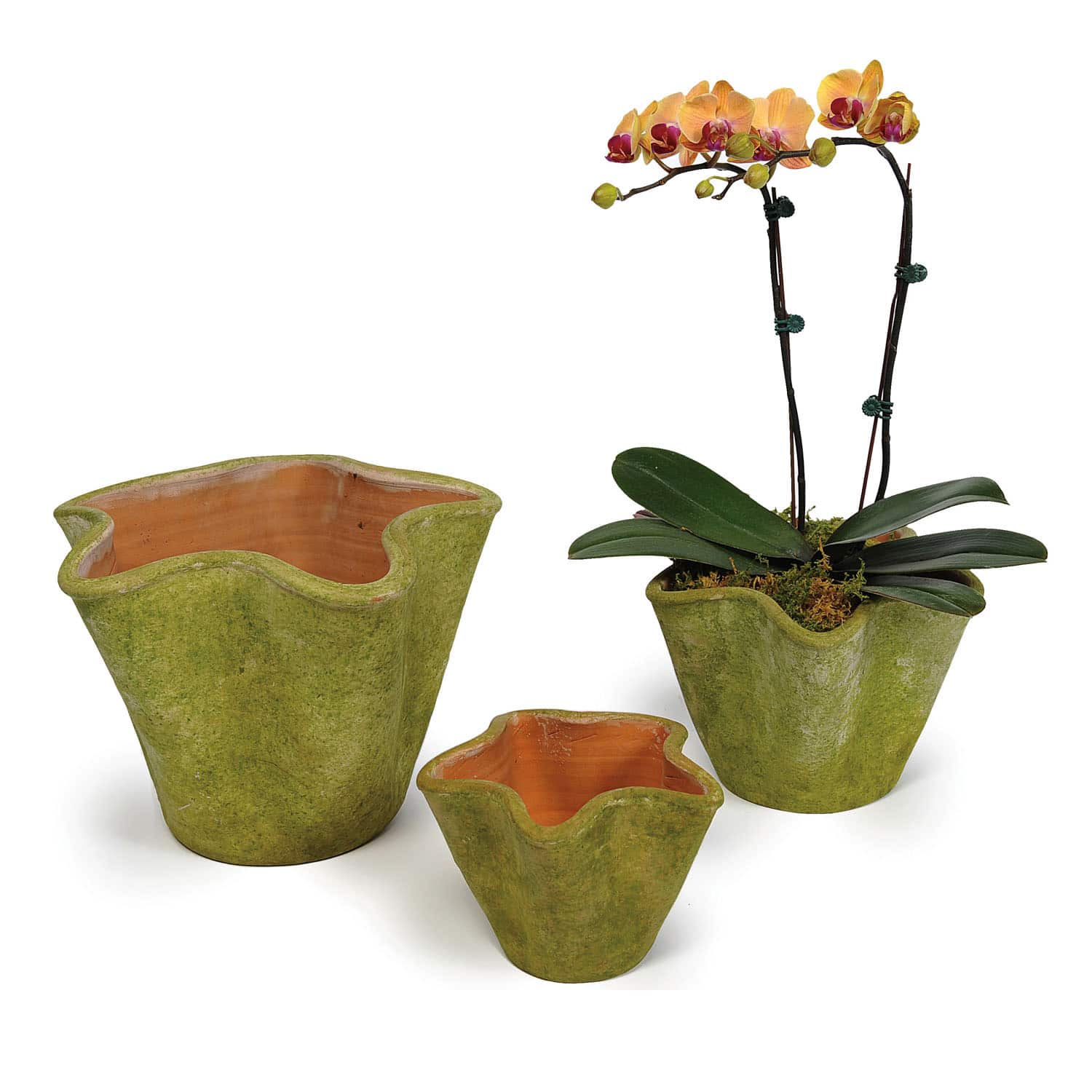 Aged Star Planters