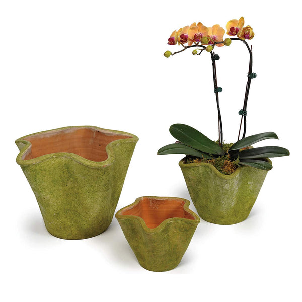 Aged Star Planters