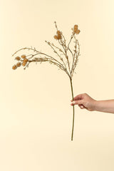 Burnt Orange Wispy Stem