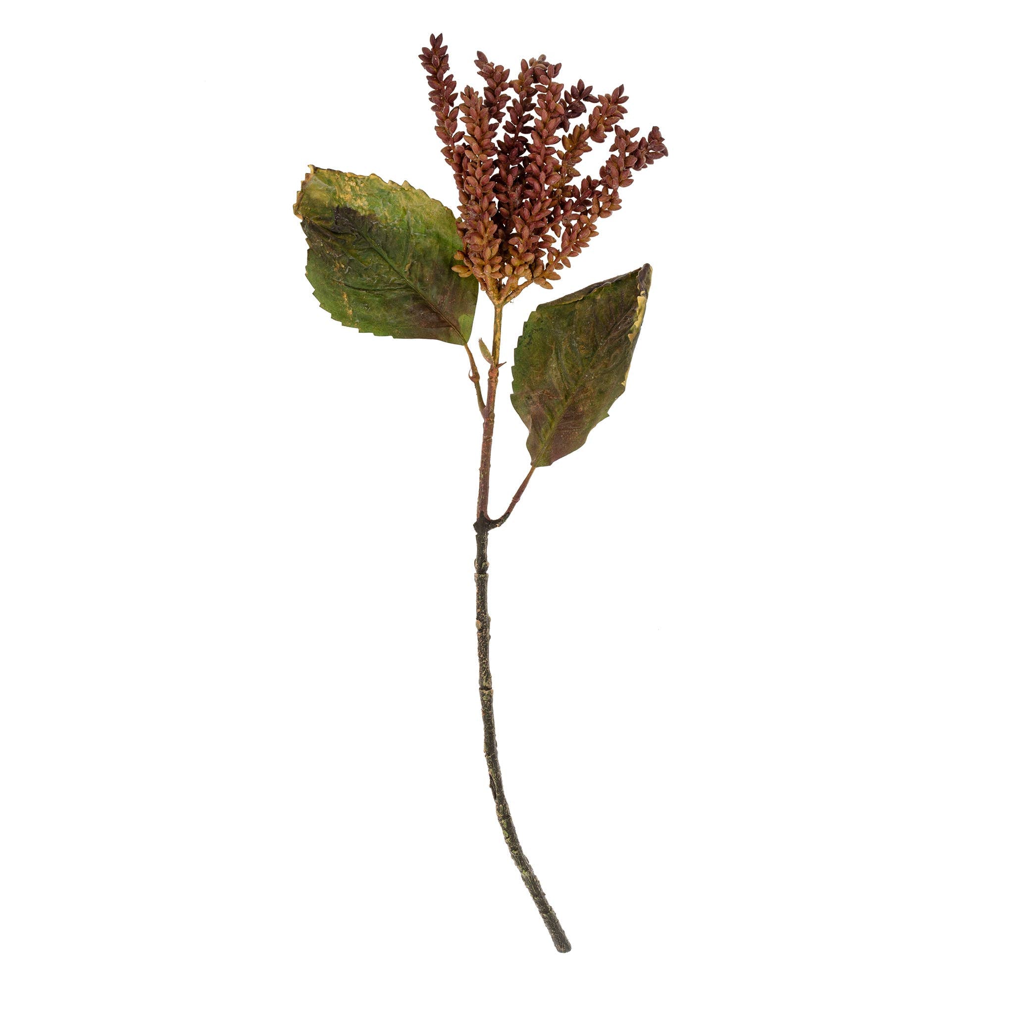 Cascading Purple Seed Stem