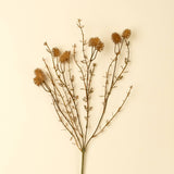 Burnt Orange Wispy Stem