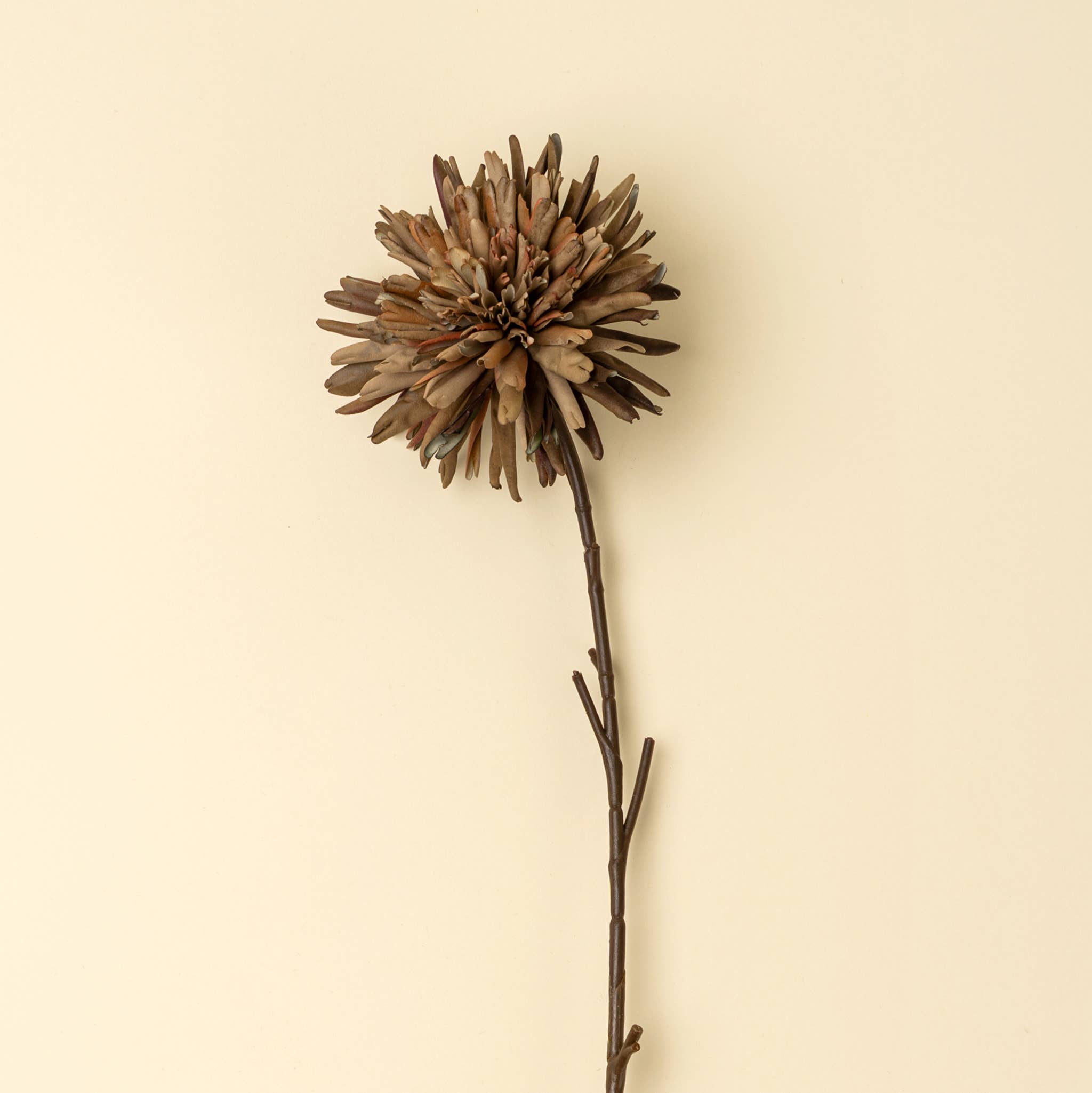 Russet Dahlia Stem