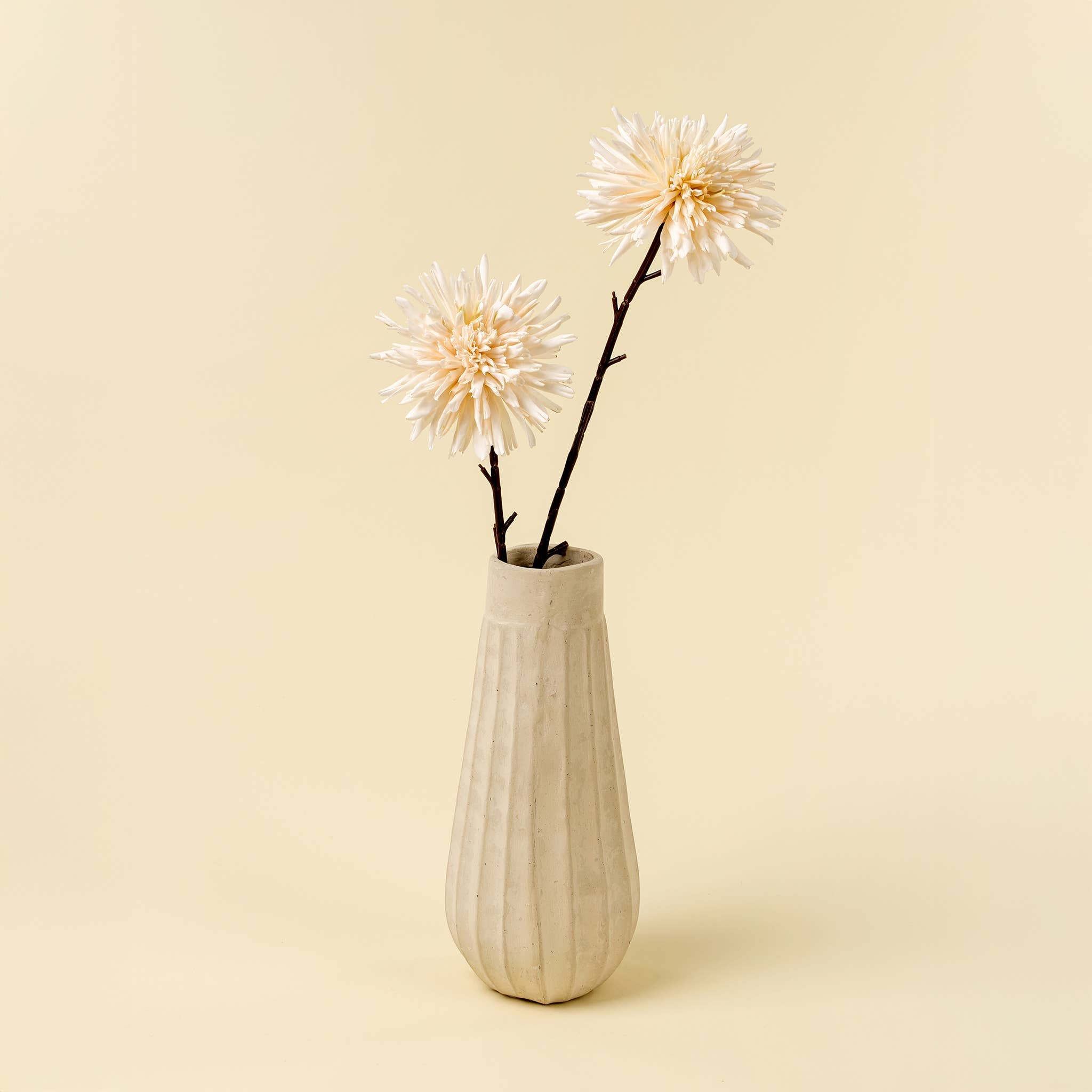 Cream Dahlia Stem