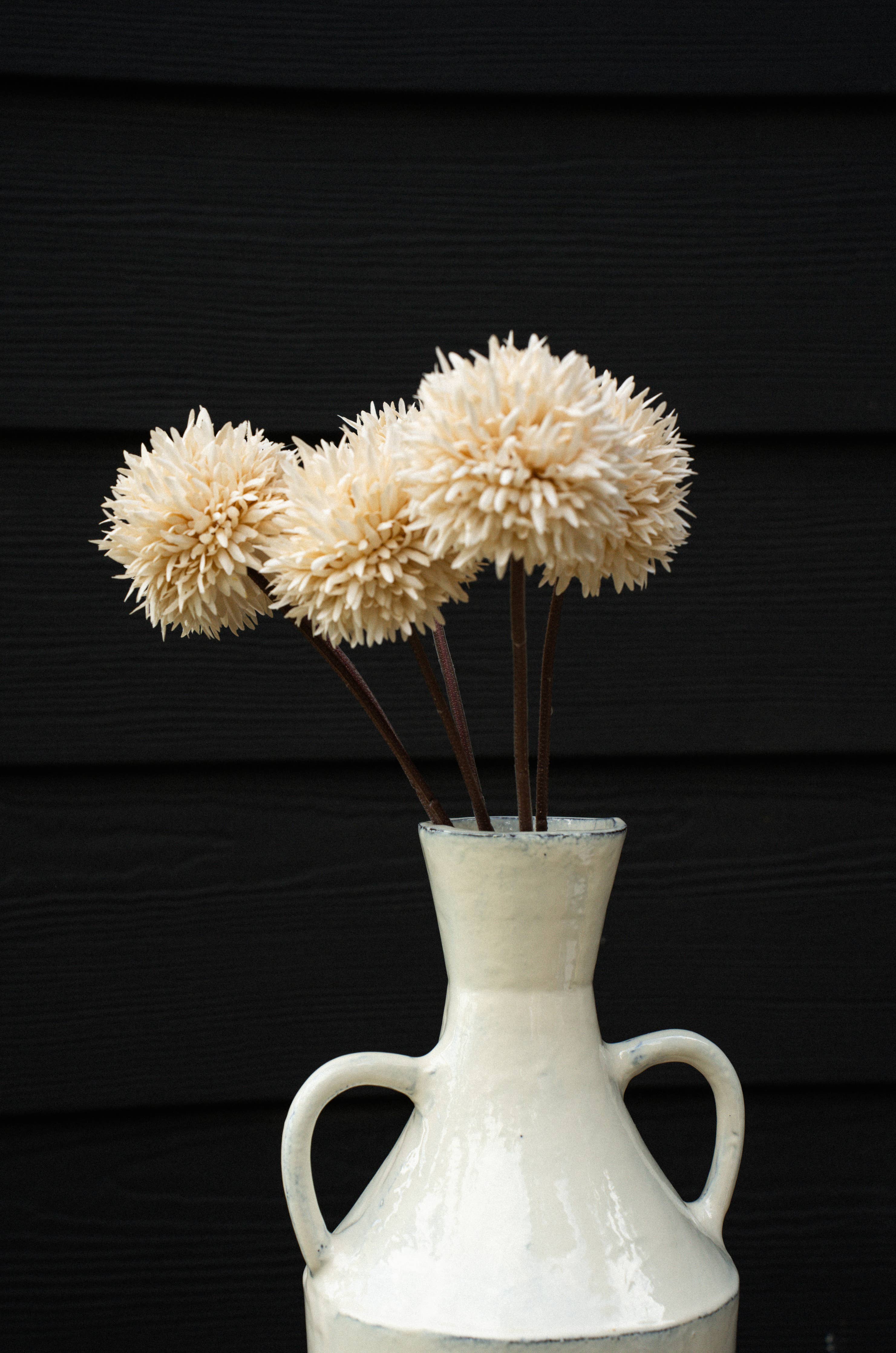 Cream Dahlia Stem