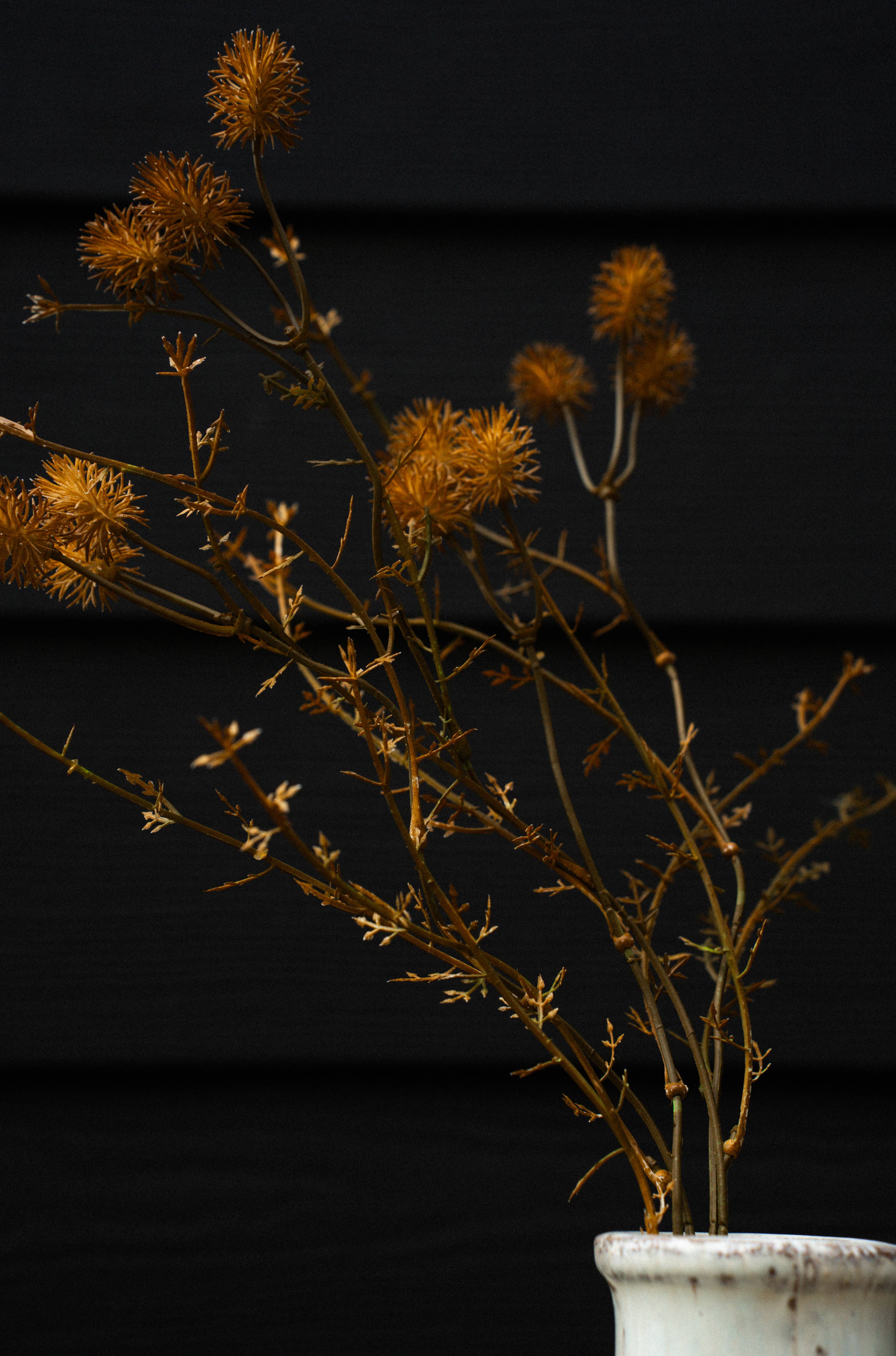 Burnt Orange Wispy Stem