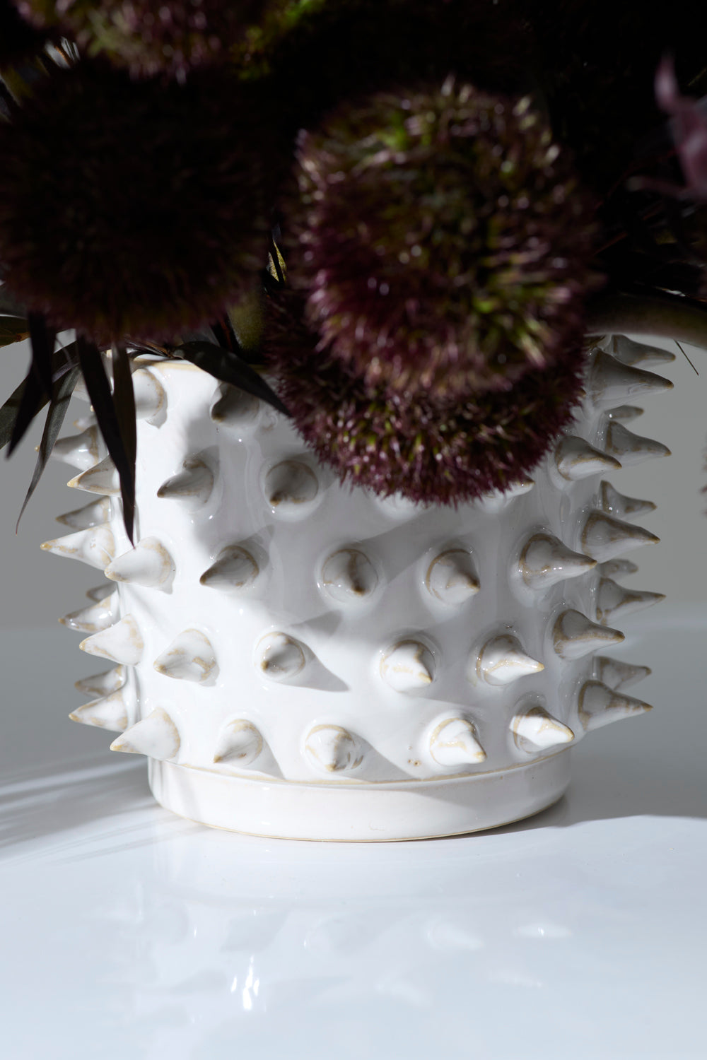 Sadie Spiked Pot