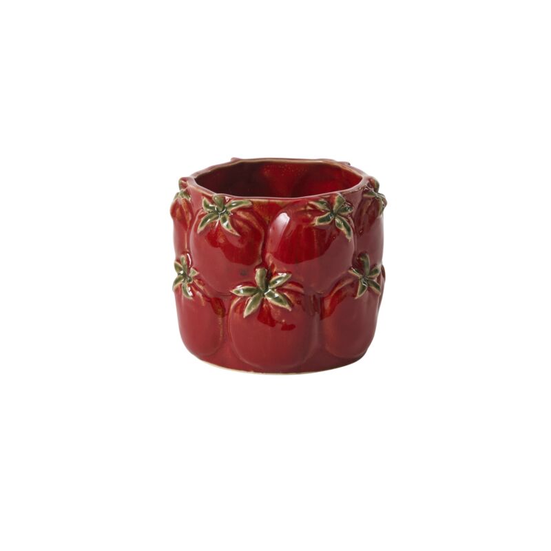 Tomato Planter