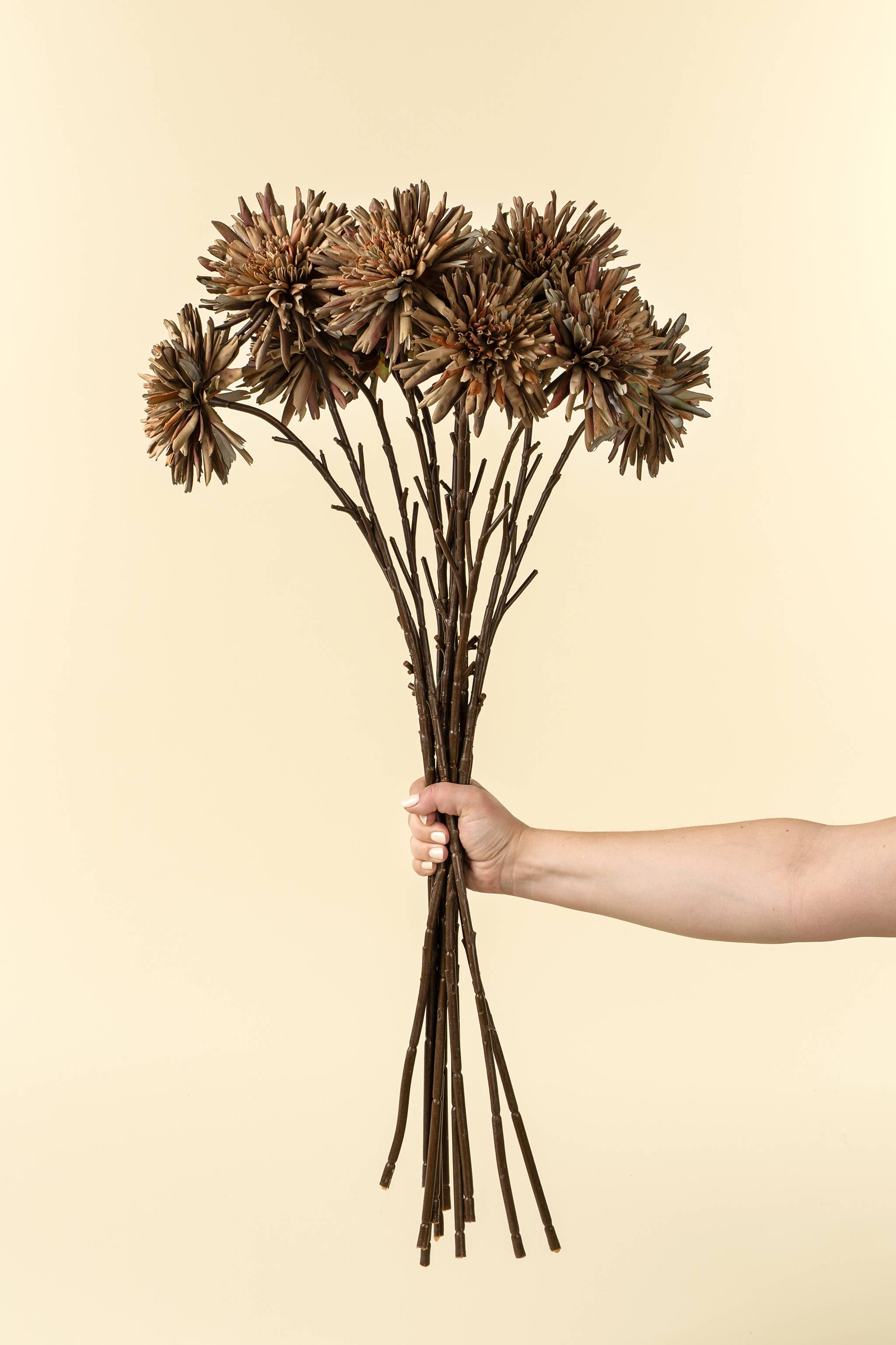 Russet Dahlia Stem
