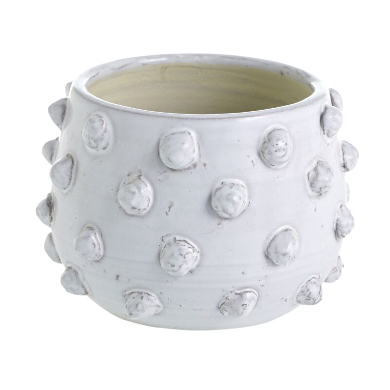 Francis Planter
