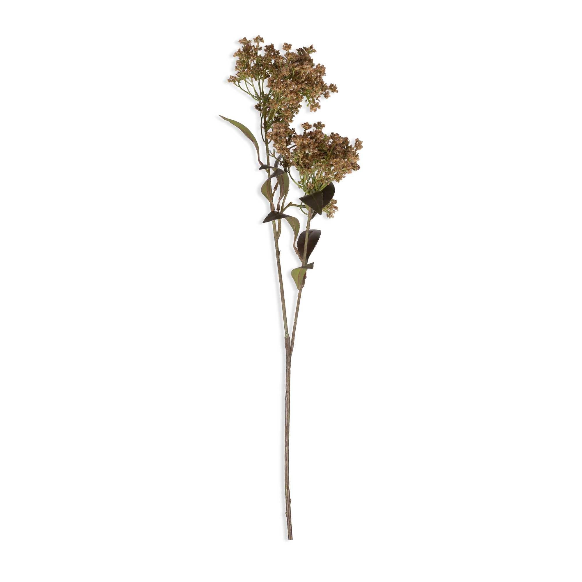 Butterfly Bush Stem