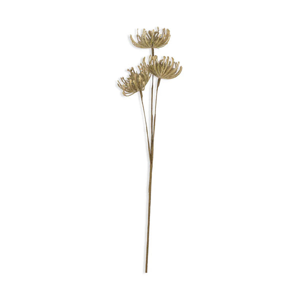 Green Leucospermum Stem