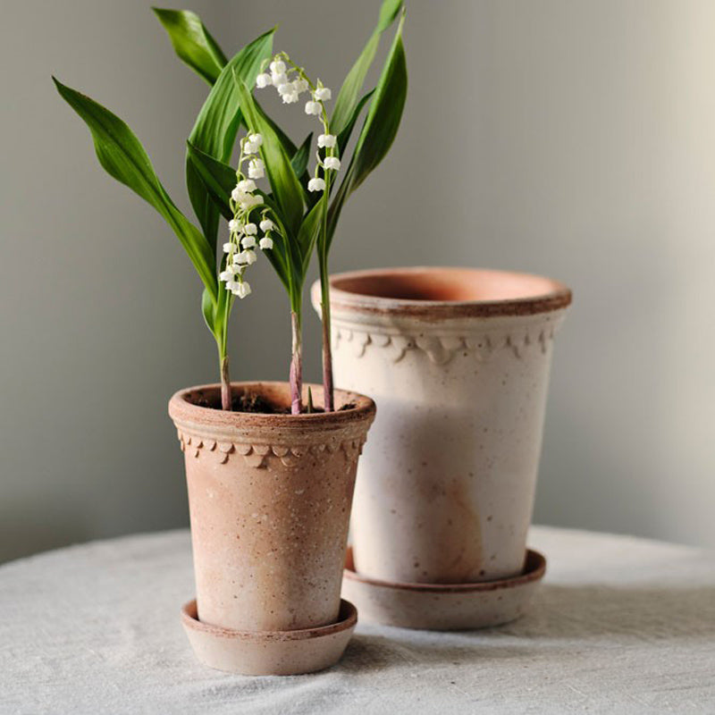 Tall Københavner Pot