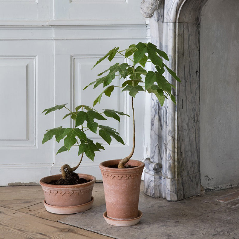 Low Københavner Pot