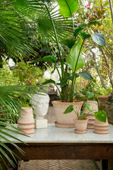 Københavner Pot
