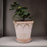 Elizabeth Planter