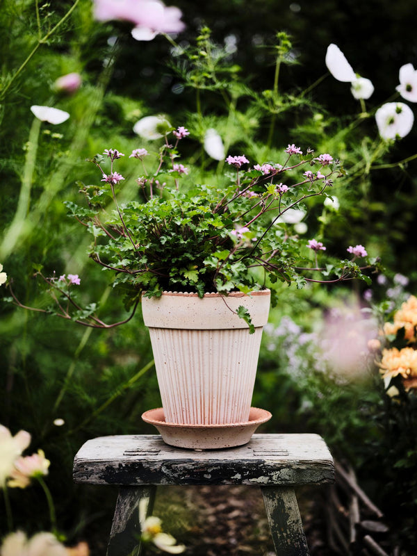 Simona Planter
