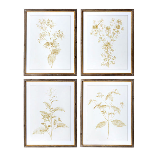 Botanical Sepia Prints