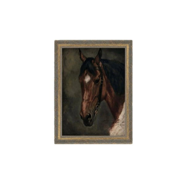 Horse Portrait