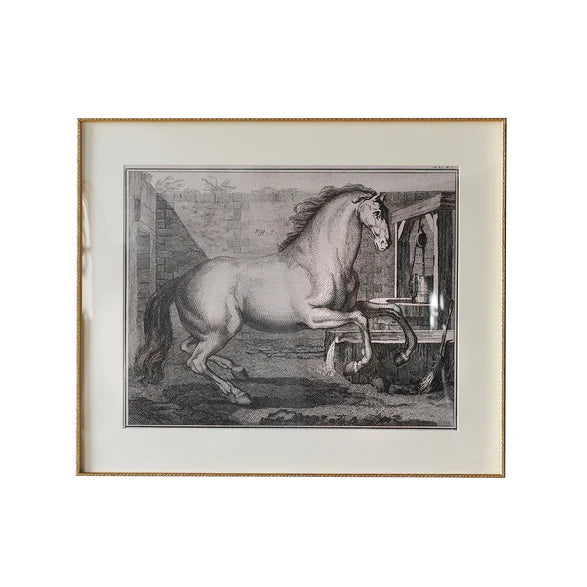 Vintage Horse Sketch V