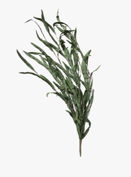 Jade Willow Branch