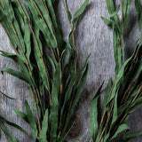 Jade Willow Branch