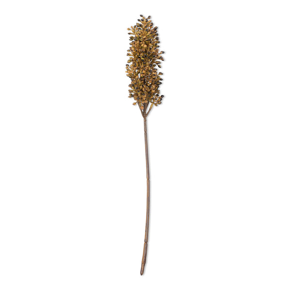 Sorghum Stem