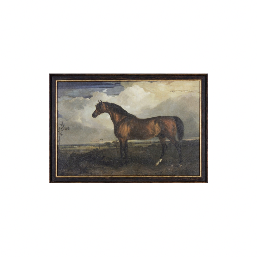 The Captain's Horse Canvas Art