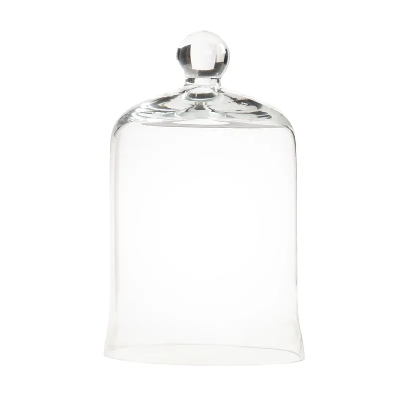 Clear Glass Cloche