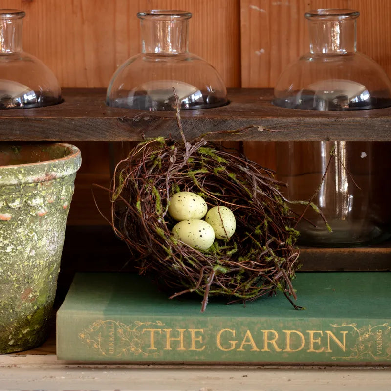 Spring Nest with Eggs