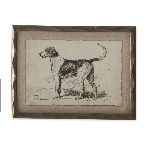 Framed Canine Sketch II