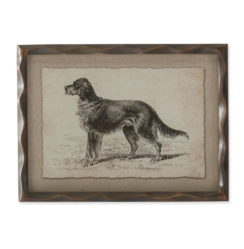 Framed Canine Sketch III