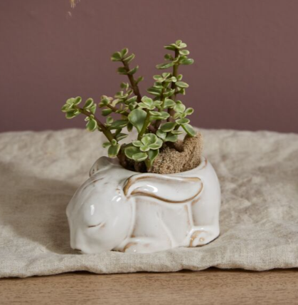 Sleepy Bunny Pot