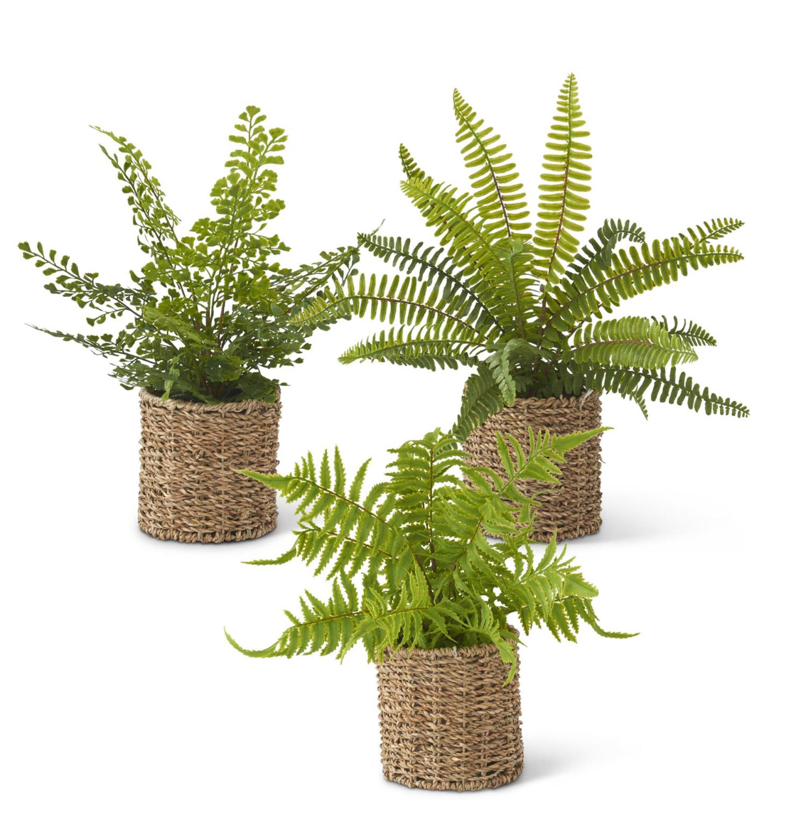Assorted Faux Ferns in Woven Basket