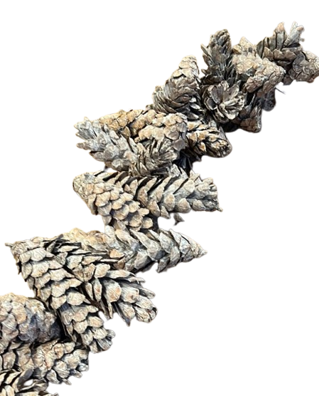 Pinecone Frosted Garland