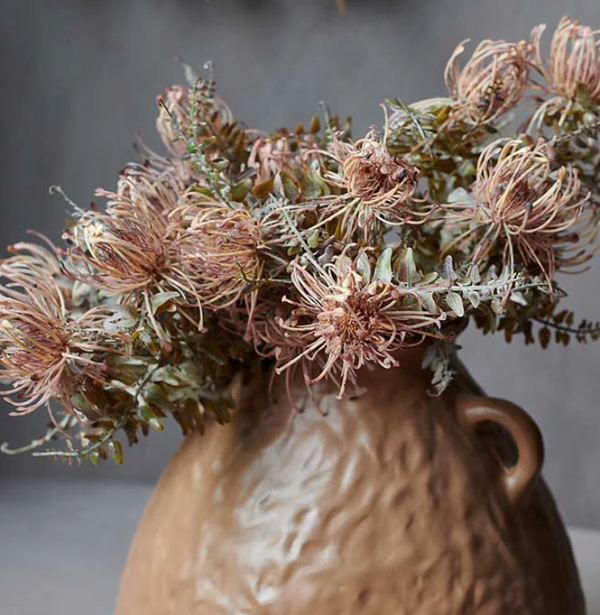 Leucospermum Bush