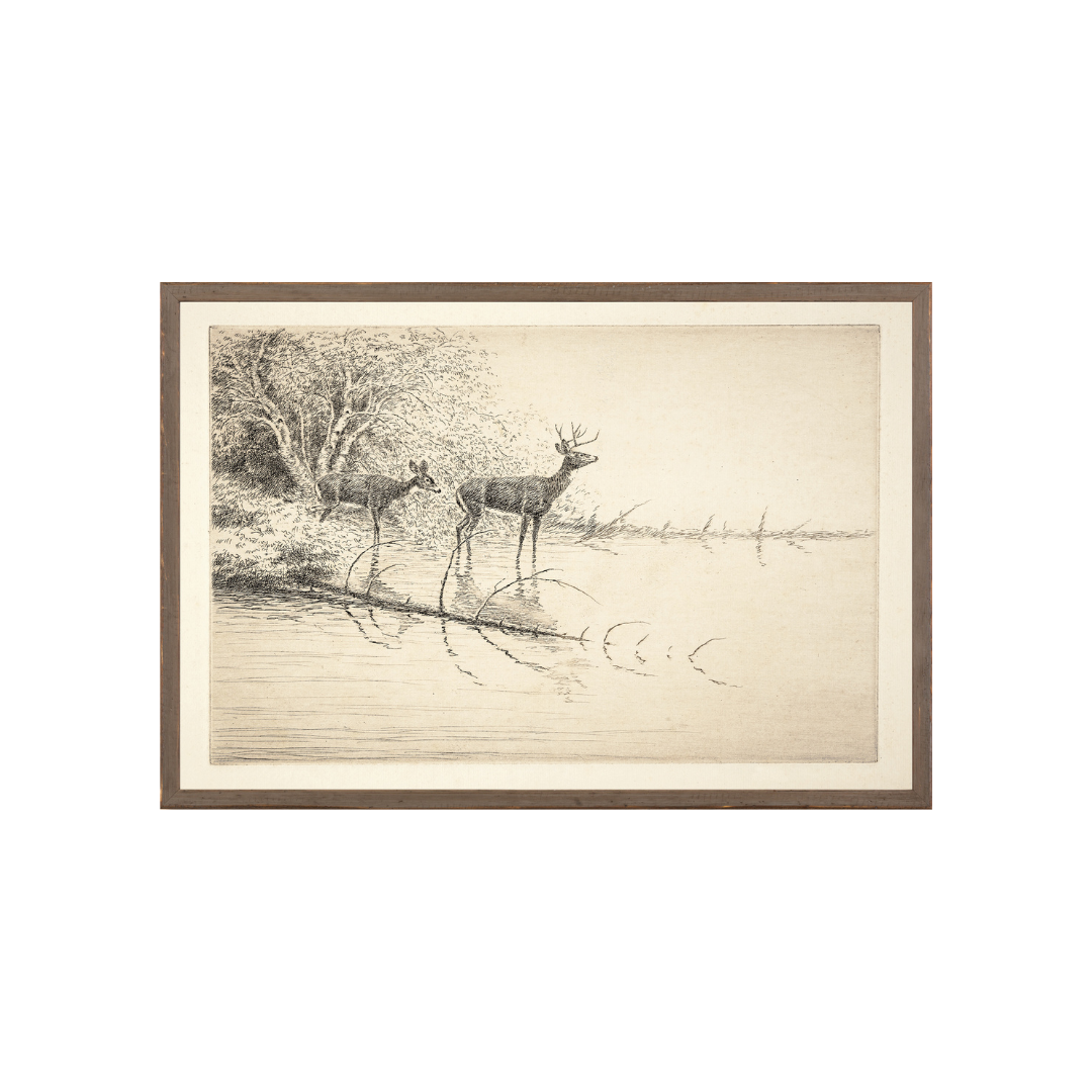 White Tails in the Morning C. 1889