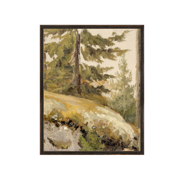 NORTHERN COLLECTION – FOREST STUDY C.1881