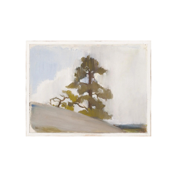 NORTHERN COLLECTION – JACK PINE C. 1880