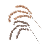 Faux Dried Thistle Stems