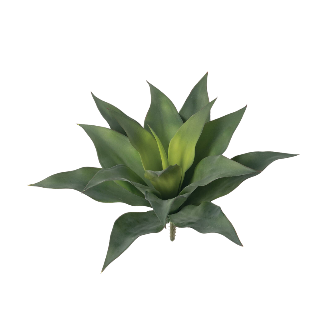 Faux Agave Plant – The Pep Line