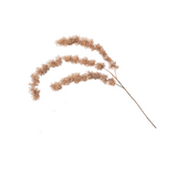 Faux Dried Thistle Stems