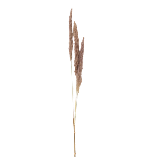 Faux Dried Brown Pampas Grass Spray