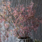 Wild Privet Stem