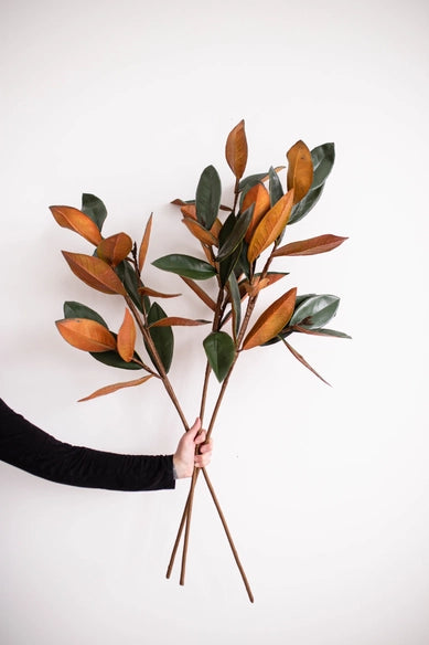 Faux Magnolia Stems